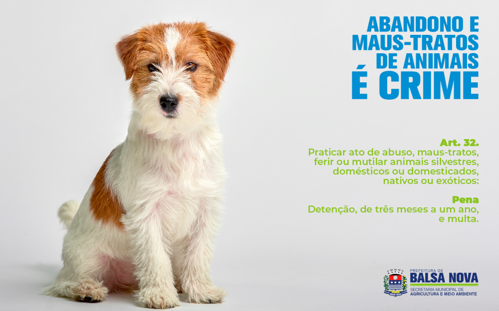 ABANDONO E MAUS-TRATOS DE ANIMAIS É CRIME!