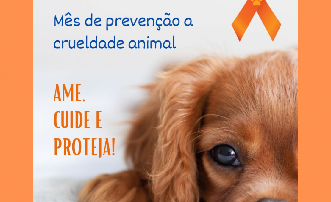 ABRIL LARANJA O MÊS DA PREVENÇÃO A CRUELDADE ANIMAL