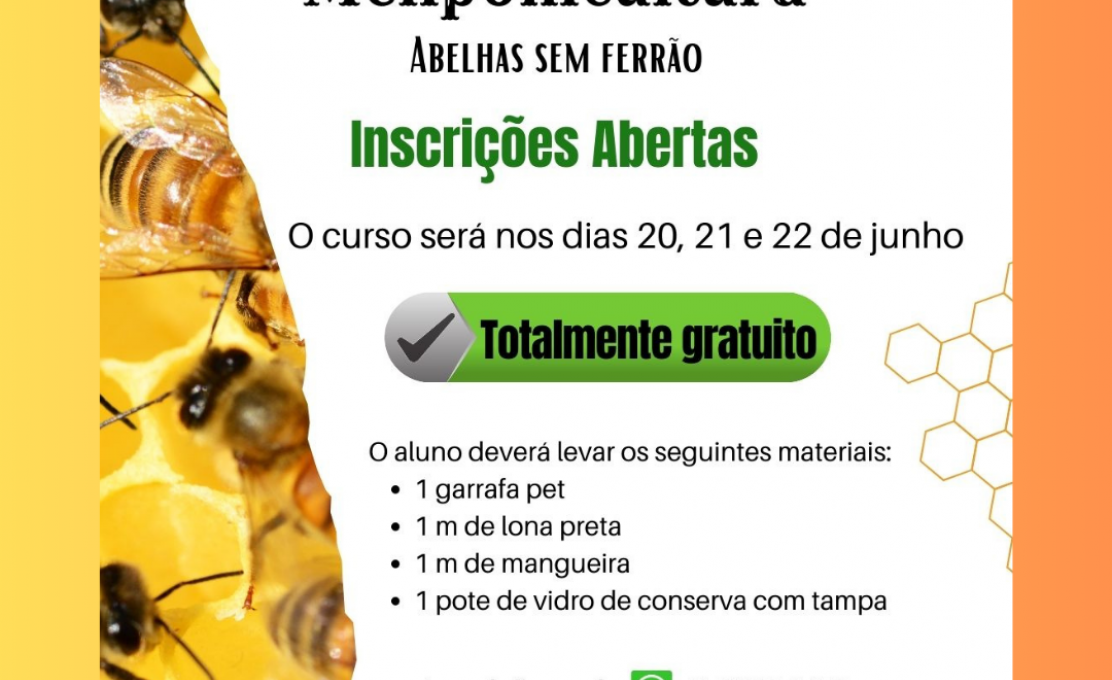 CURSO DE MELIPONICULTURA
