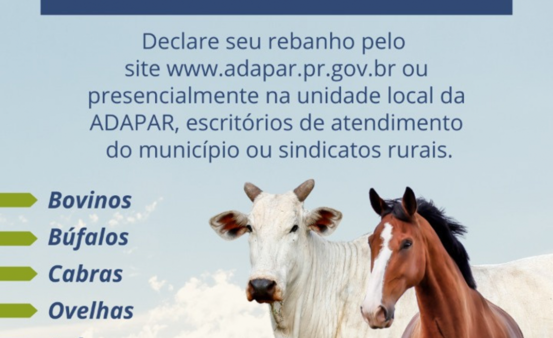 CAMPANHA DE ATUALIZAÇÃO DE REBANHOS