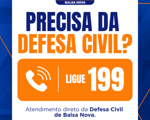 defesa-civil-1_(982).png