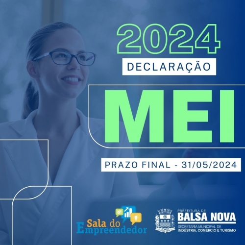 DECLARAÇÃO MEI 2024