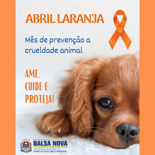 ABRIL LARANJA O MÊS DA PREVENÇÃO A CRUELDADE ANIMAL