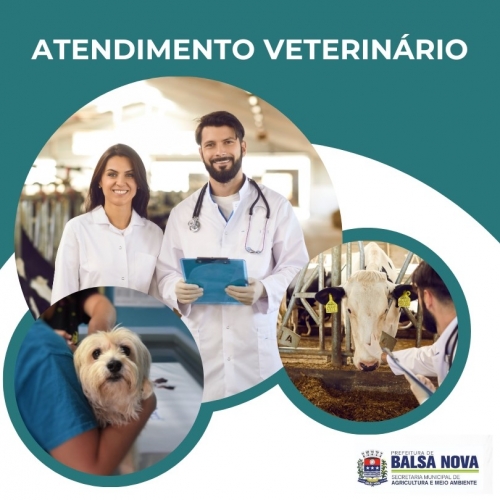 ATENDIMENTO VETERINÁRIO