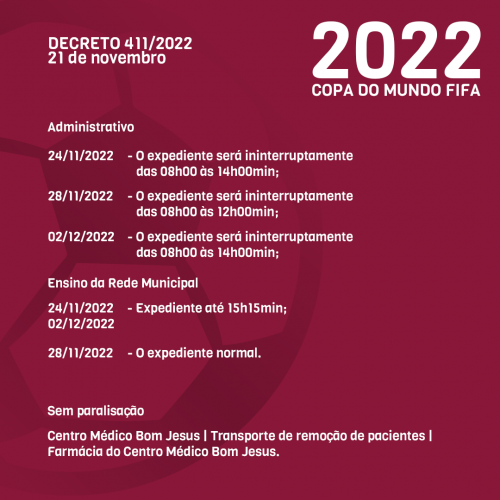  DECRETO 411/2022