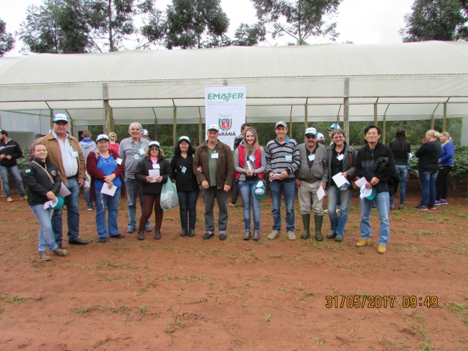 Balsa-novenses participam do “Dia de Campo”