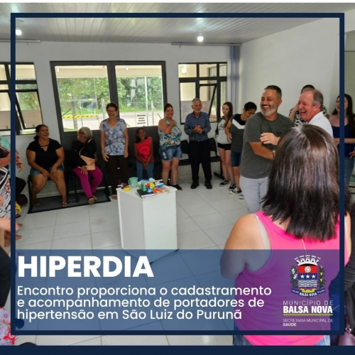 HIPERDIA EM SÃO LUIZ DO PURUNÃ