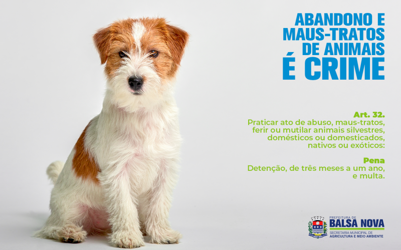 ABANDONO E MAUS-TRATOS DE ANIMAIS É CRIME!