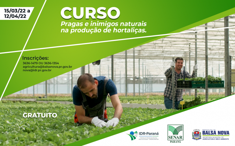 CURSO GRATUITO